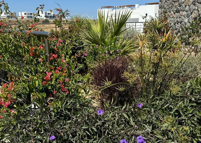 Blue Deja Blue Seaside Appartments *